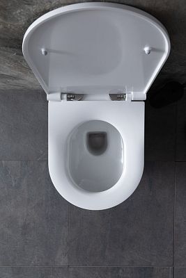 Чаша подвесного унитаза Allen Brau Reality 4.32006.20 белый глянец фото 18