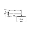 Верхний душ Grohe Rainshower 26257000 фото 2