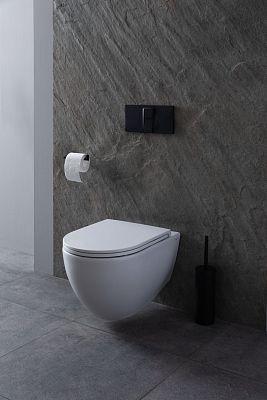 Чаша подвесного унитаза Allen Brau Reality 4.32006.20 белый глянец фото 31