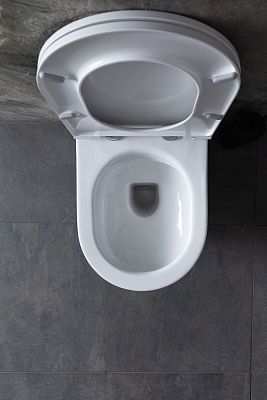 Чаша подвесного унитаза Allen Brau Reality 4.32006.20 белый глянец фото 17
