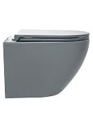 AQM2002MGR Унитаз подвесной с сиденьем SoftClose, технология смыва Rimless, скрыт.крепеж. Цвет серый