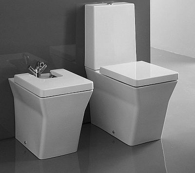 Биде напольное Jacob Delafon Reve E4814 фото 3