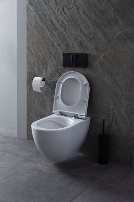 Чаша подвесного унитаза Allen Brau Reality 4.32006.20 белый глянец фото 30