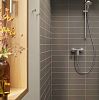 Смеситель для душа HANSGROHE REBRIS E 72650000 Хром фото 5
