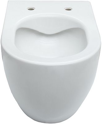 Чаша подвесного унитаза Allen Brau Reality 4.32006.20 белый глянец фото 3
