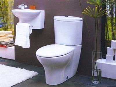 Чаша унитаза напольная Jacob Delafon Presqu'ile 19077-00 фото 2