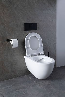 Чаша подвесного унитаза Allen Brau Reality 4.32006.20 белый глянец фото 36