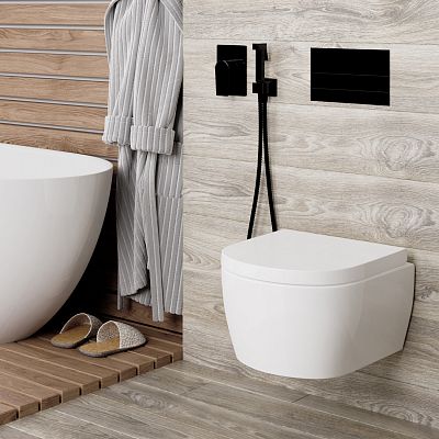 Glan 6651 Смеситель для душа фото 2