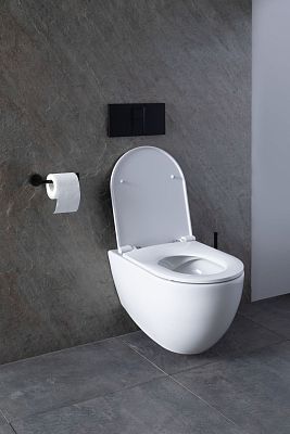 Чаша подвесного унитаза Allen Brau Reality 4.32006.20 белый глянец фото 35