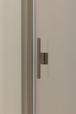 Душевая дверь Allen Brau Priority 100 3.31005.BA серебро браш фото 8