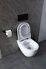 Чаша подвесного унитаза Allen Brau Reality 4.32006.20 белый глянец фото 28