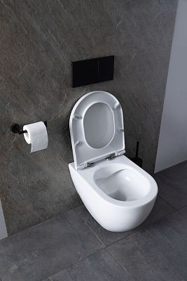 Чаша подвесного унитаза Allen Brau Reality 4.32006.20 белый глянец фото 28