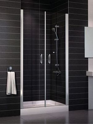 Душевая дверь Vegas Glass E2P 095 05 10 фото 1