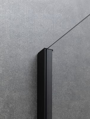 Душевая дверь Allen Brau Priority 90 3.31003.BBA черный браш фото 4