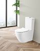Унитаз напольный BelBagno Sfera-R BB2141CPR фото 3