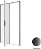 Душевая дверь Allen Brau Priority 120 3.31009.BBA черный браш фото 17