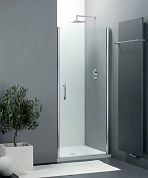 РАСПРОДАЖА Дверь в нишу Provex Elegance/Vario 0005 NE 28 GL N 1000 мм х 1975 мм, матовый алюминий/стекло прозрачное