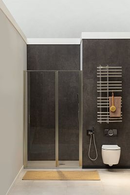 Душевая дверь Allen Brau Priority 100 3.31005.BA серебро браш фото 3