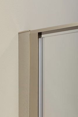 Душевая дверь Allen Brau Priority 100 3.31005.BA серебро браш фото 9