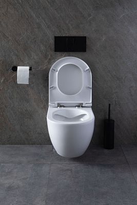 Чаша подвесного унитаза Allen Brau Reality 4.32006.20 белый глянец фото 33