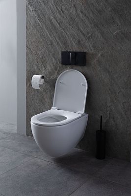 Чаша подвесного унитаза Allen Brau Reality 4.32006.20 белый глянец фото 29