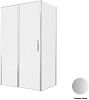 Душевой уголок Allen Brau Priority 120x80 3.31008.BA + 3.31014.BA серебро браш фото 1