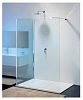РАСПРОДАЖА Душевая перегородка Provex Modula MR-2 2007MR-F+ 05 GH 1200 мм х 2000 мм, блестящий алюминий/стекло прозрачное фото 1