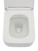 AQM2009 Унитаз подвесной с сиденьем SoftClose, технология смыва Rimless, скрытый крепеж. 525х360х370