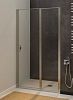Душевая дверь Allen Brau Priority 100 3.31005.BA серебро браш фото 1