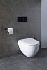 Чаша подвесного унитаза Allen Brau Reality 4.32006.20 белый глянец фото 37