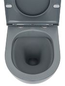 AQM2002MGR Унитаз подвесной с сиденьем SoftClose, технология смыва Rimless, скрыт.крепеж. Цвет серый