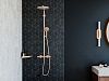 Угловая корзинка HANSGROHE AddStoris 41741000 Хром фото 5