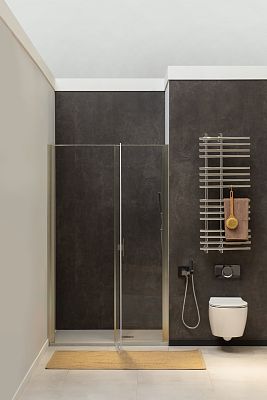 Душевая дверь Allen Brau Priority 100 3.31005.BA серебро браш фото 4