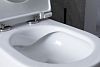 Чаша подвесного унитаза Allen Brau Reality 4.32006.20 белый глянец фото 27