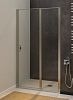 Душевая дверь Allen Brau Priority 120 3.31008.BA серебро браш фото 14