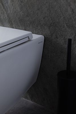 Чаша подвесного унитаза Allen Brau Reality 4.32006.20 белый глянец фото 22