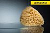 Душевой уголок Vegas Glass ZS 0080 05 02 фото 3