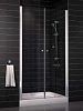 Душевая дверь Vegas Glass E2P (knob) 0090 01 01 фото 1
