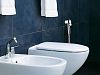 Гигиеническая лейка Bossini Paloma C98001 Хром фото 5