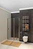 Душевая дверь Allen Brau Priority 100 3.31005.BA серебро браш фото 5