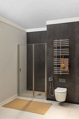 Душевая дверь Allen Brau Priority 100 3.31005.BA серебро браш фото 5